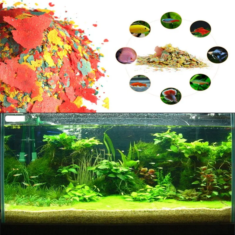 NEW Healthy Fish Food Flakes F - огляд і ціна Health Wellness Items