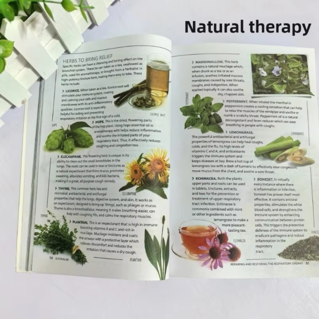 Sustain Me Barbara O'Neill A H - огляд і ціна Holistic Health & Wellness